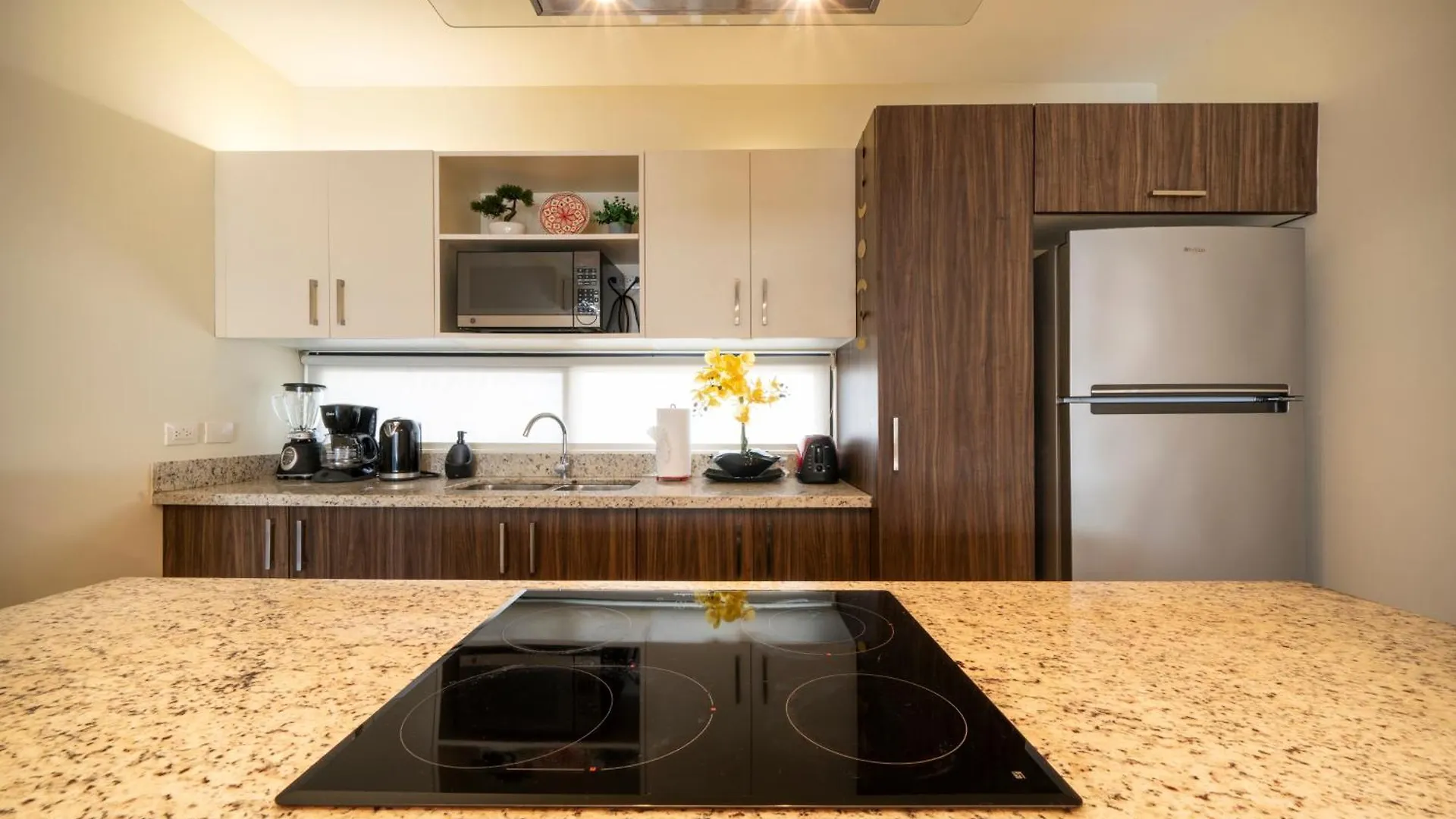 Modern Penthouse With 2 Bedroom Tub & Pool At Arenis Condos - 509 Playa del Carmen